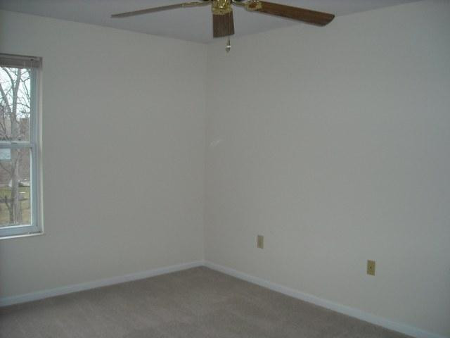 1344 Cayton Road Florence, KY 41042 - Photo 13 of 20 Gallery Image 13