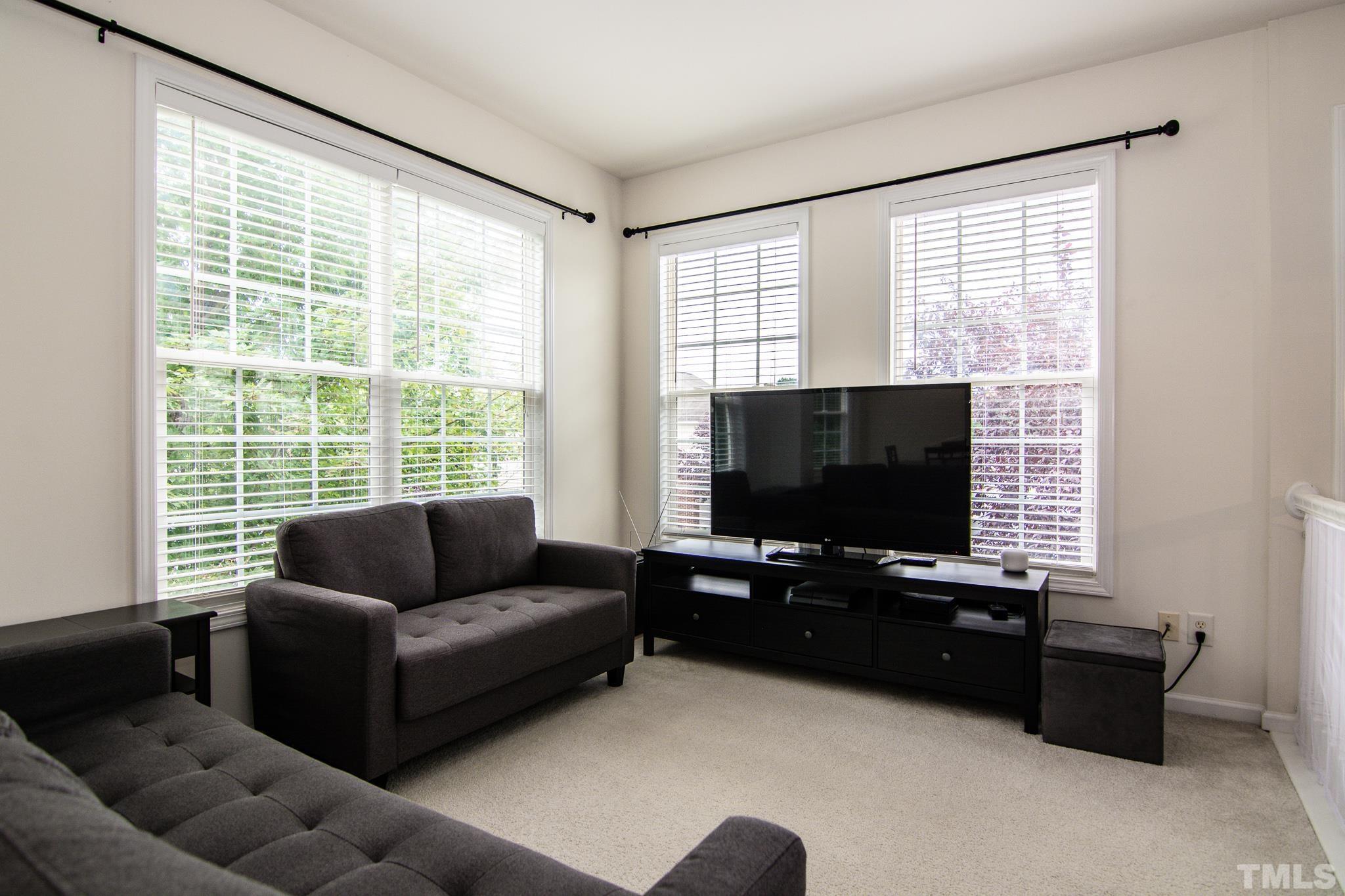 8120 Upper Lake Drive Raleigh, NC 27615 - Photo 10 of 29 a living room with furniture and a flat screen tv