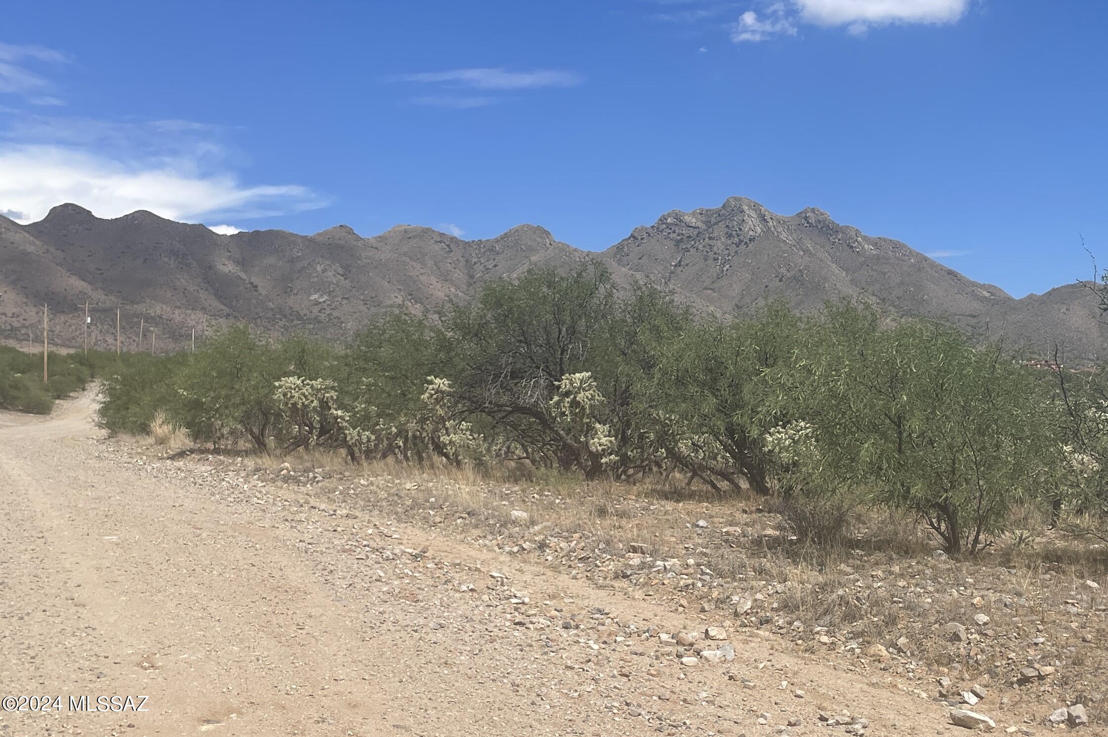 180 Via Agua Sarca, Unit 22 Rio Rico, AZ 85648 - Photo 4 of 4
