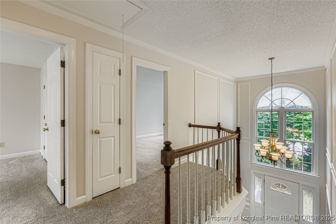 9012 Walking Stick Trail Raleigh, NC 27615 - Photo 25 of 28 a view of entryway with wooden floor