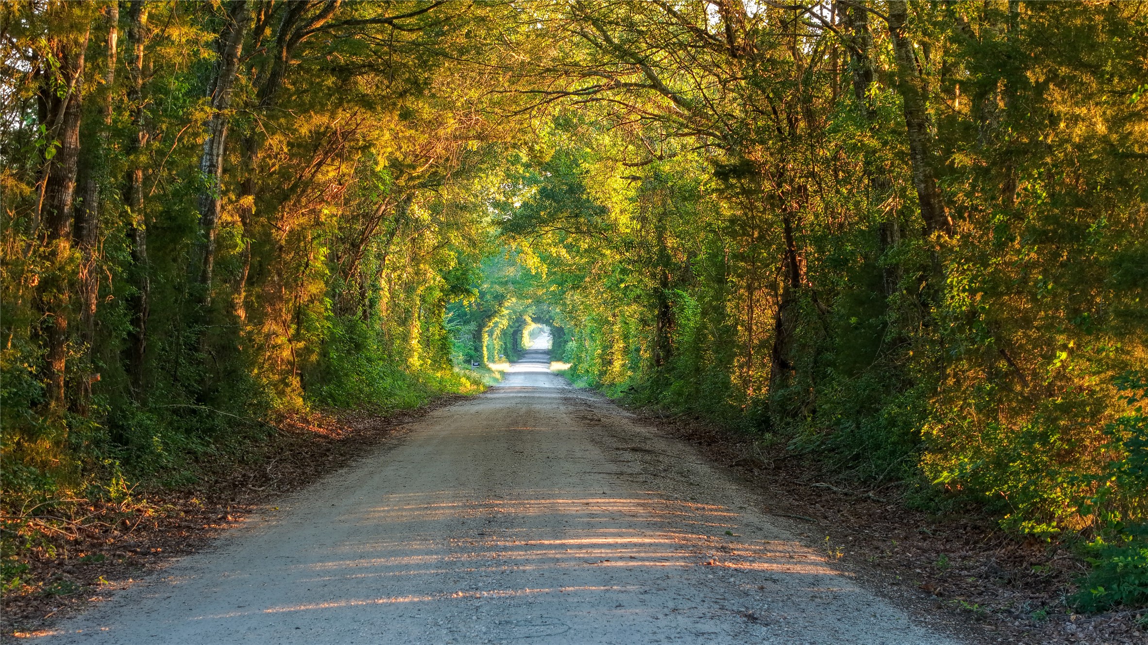 3765 Poteet Road Normangee, TX 77871 - Photo 4 of 37 a view of a street with a trees