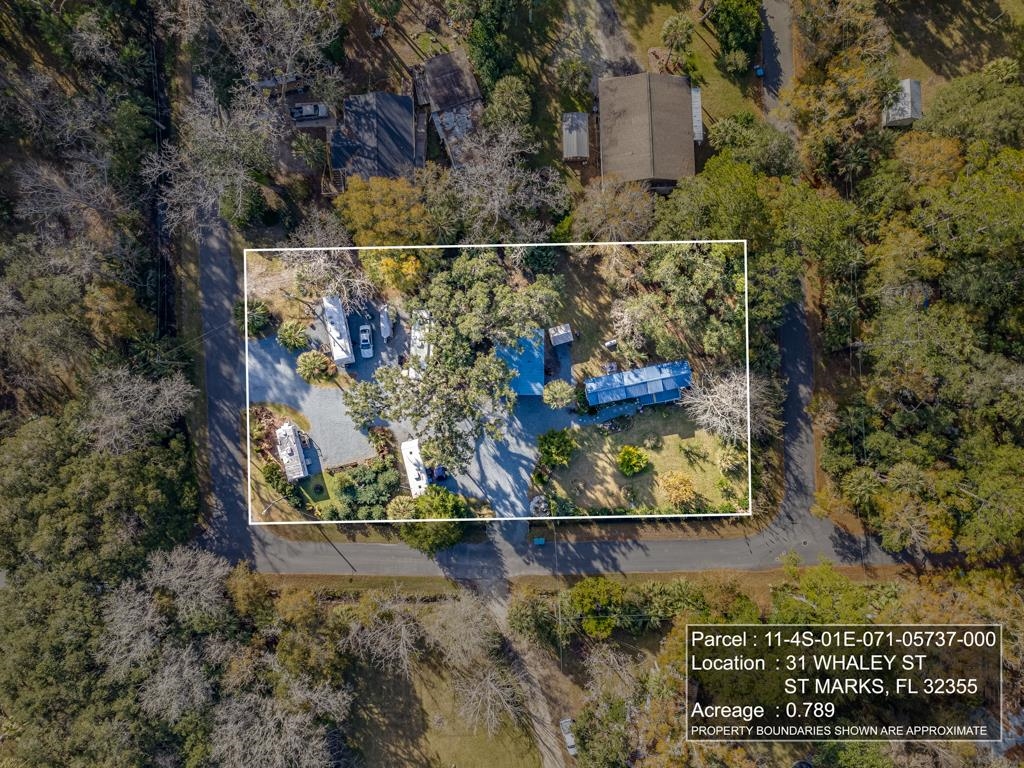 31 Whaley Street St. Marks, FL 32355 - Photo 23 of 33