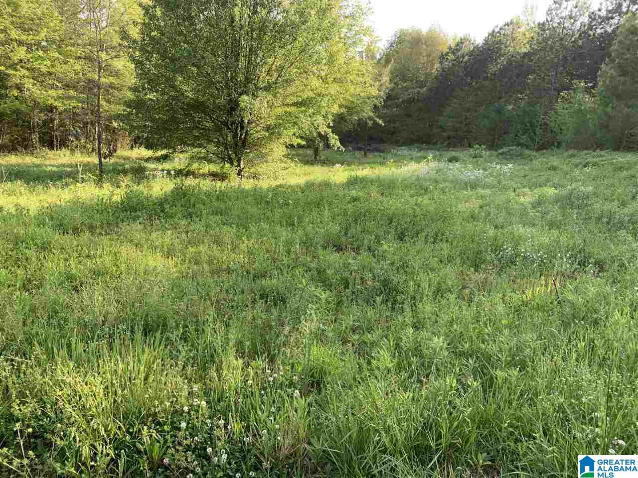 0 Highway 11 Springville Al, Unit 30 Springville, AL 35146 - Photo 6 of 6