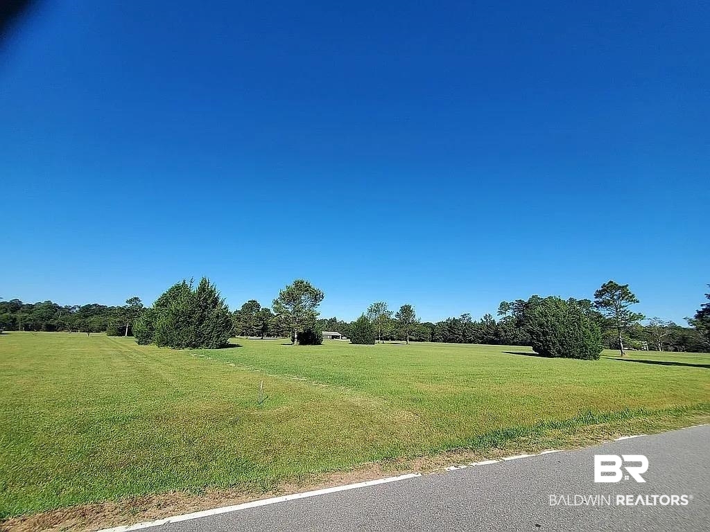 34350 Spring Road South Stapleton, AL 36578 - Photo 6 of 6 View of green lawn with view of scattered trees