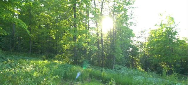 $54,000 | 83-xxx - Lot 7 83-xxx - Road, Bayfield, WI 54814