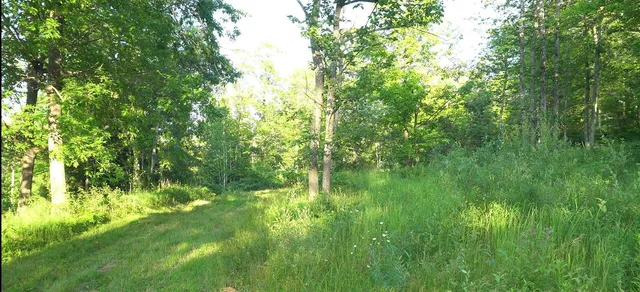 $59,000 | 83-xxx - Lot 7 83-xxx - Road, Bayfield, WI 54814