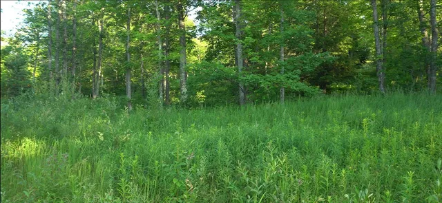 $59,000 | 83-xxx - Lot 7 83-xxx - Road, Bayfield, WI 54814