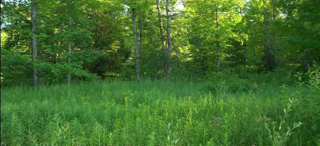 $59,000 | 83-xxx - Lot 7 83-xxx - Road, Bayfield, WI 54814