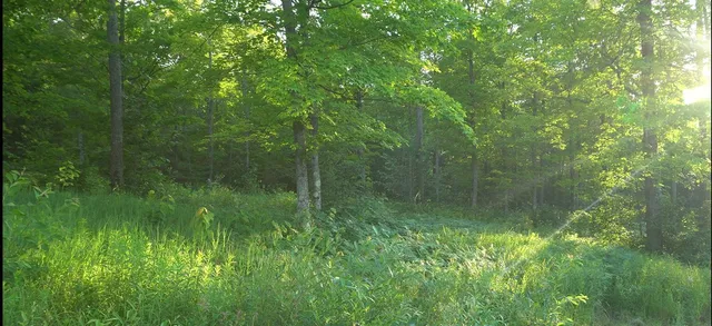 $59,000 | 83-xxx - Lot 7 83-xxx - Road, Bayfield, WI 54814