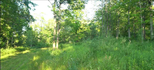 $59,000 | 83-xxx - Lot 7 83-xxx - Road, Bayfield, WI 54814