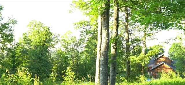 $59,000 | 83-xxx - Lot 7 83-xxx - Road, Bayfield, WI 54814