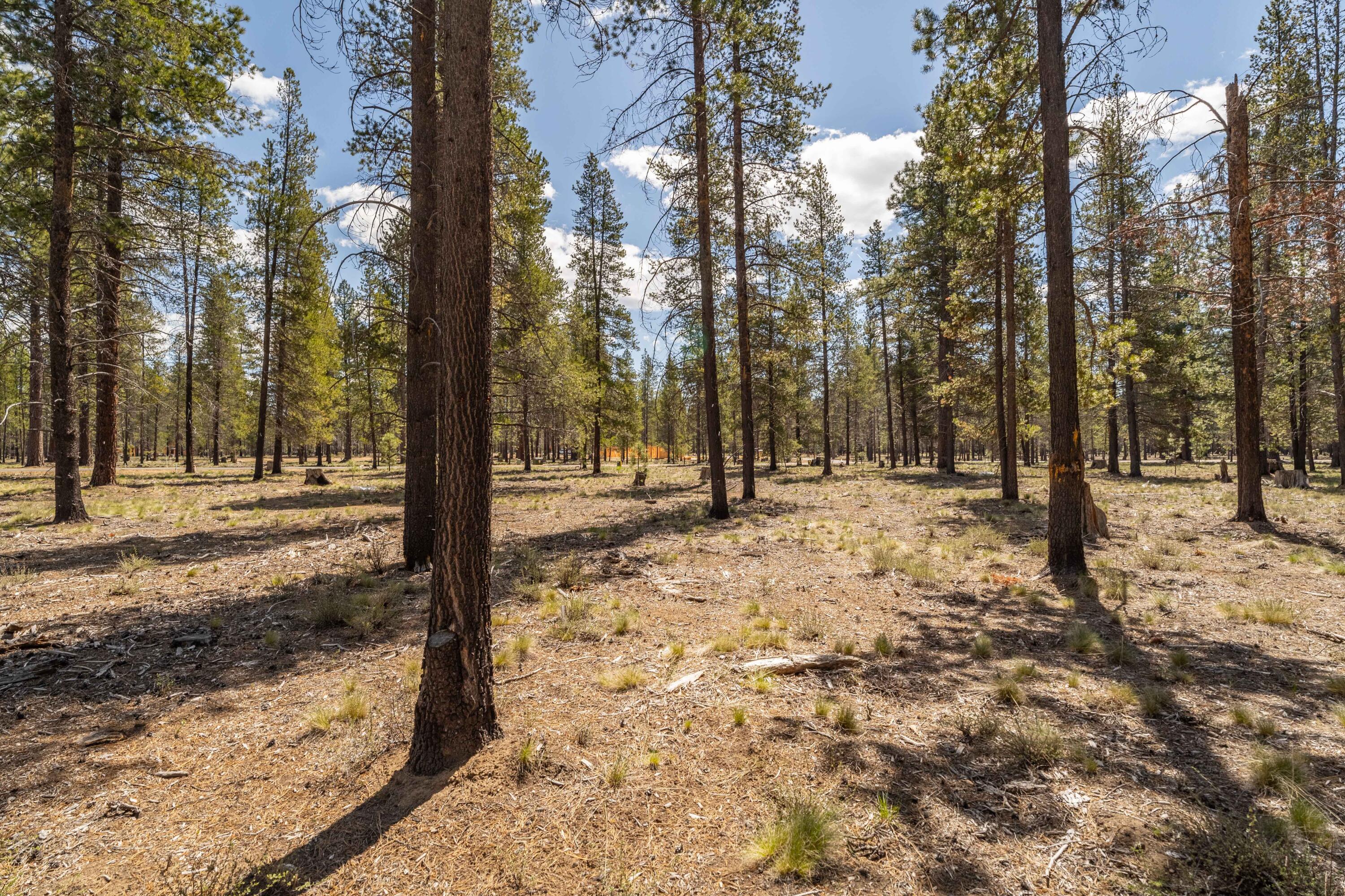 Preservation Loop Bend, Unit 460 Bend, OR 97707 - Photo 11 of 17 DSC02086-HDR