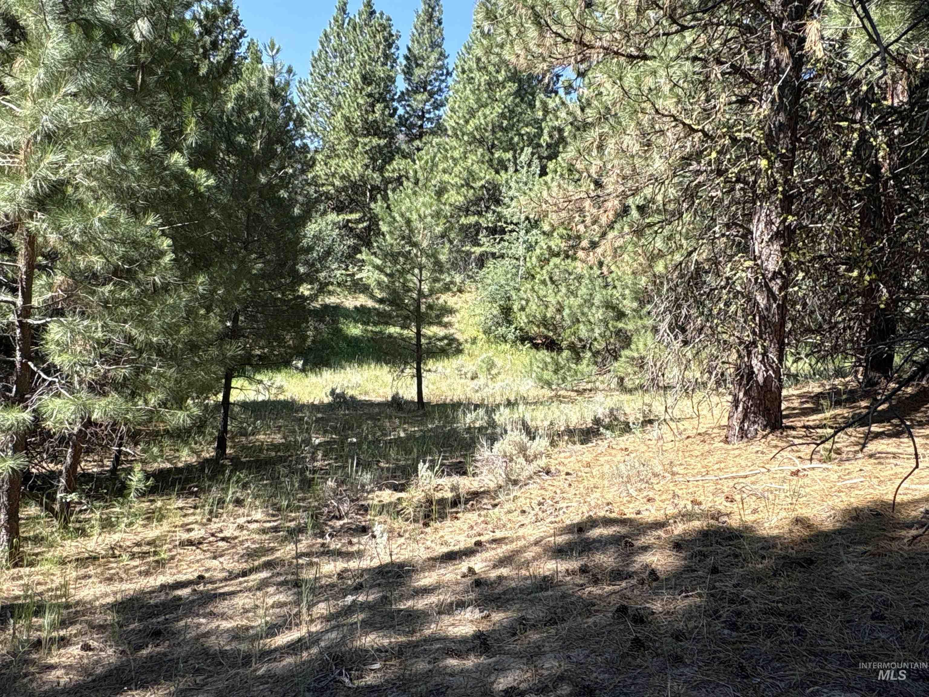 Tbd Smith Creek Road Mountain Home, ID 83647 - Photo 12 of 19