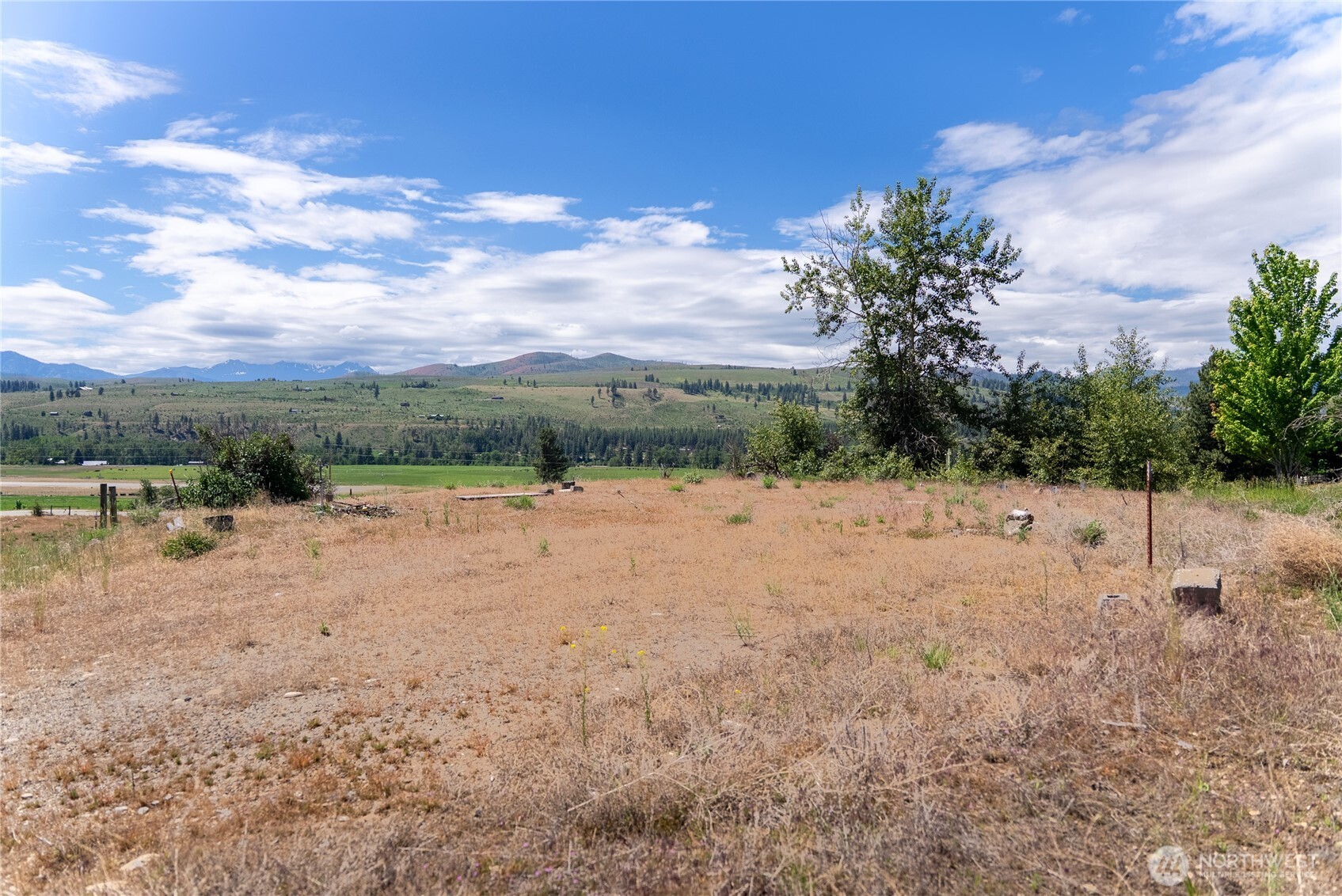 567 Twisp-Winthrop Eastside Road Winthrop, WA 98862 - Photo 18 of 33