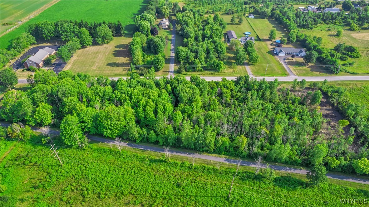 V/l Clarence Center Road Akron, NY 14001 - Photo 6 of 9 View looking north. Bordered on the bottom by the