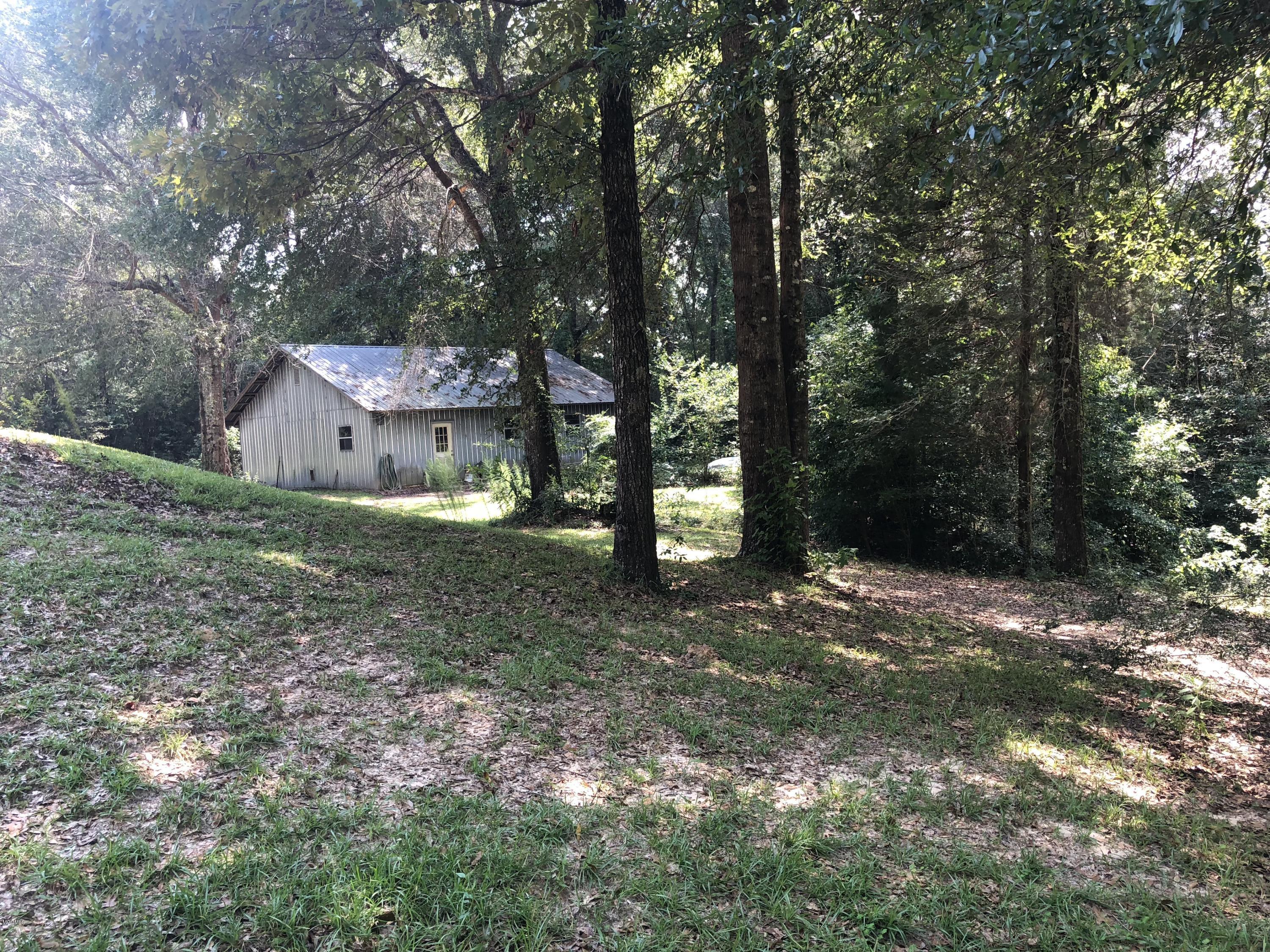 47 Punk Lott Road Wiggins, MS 39577 - Photo 11 of 27 IMG_3444