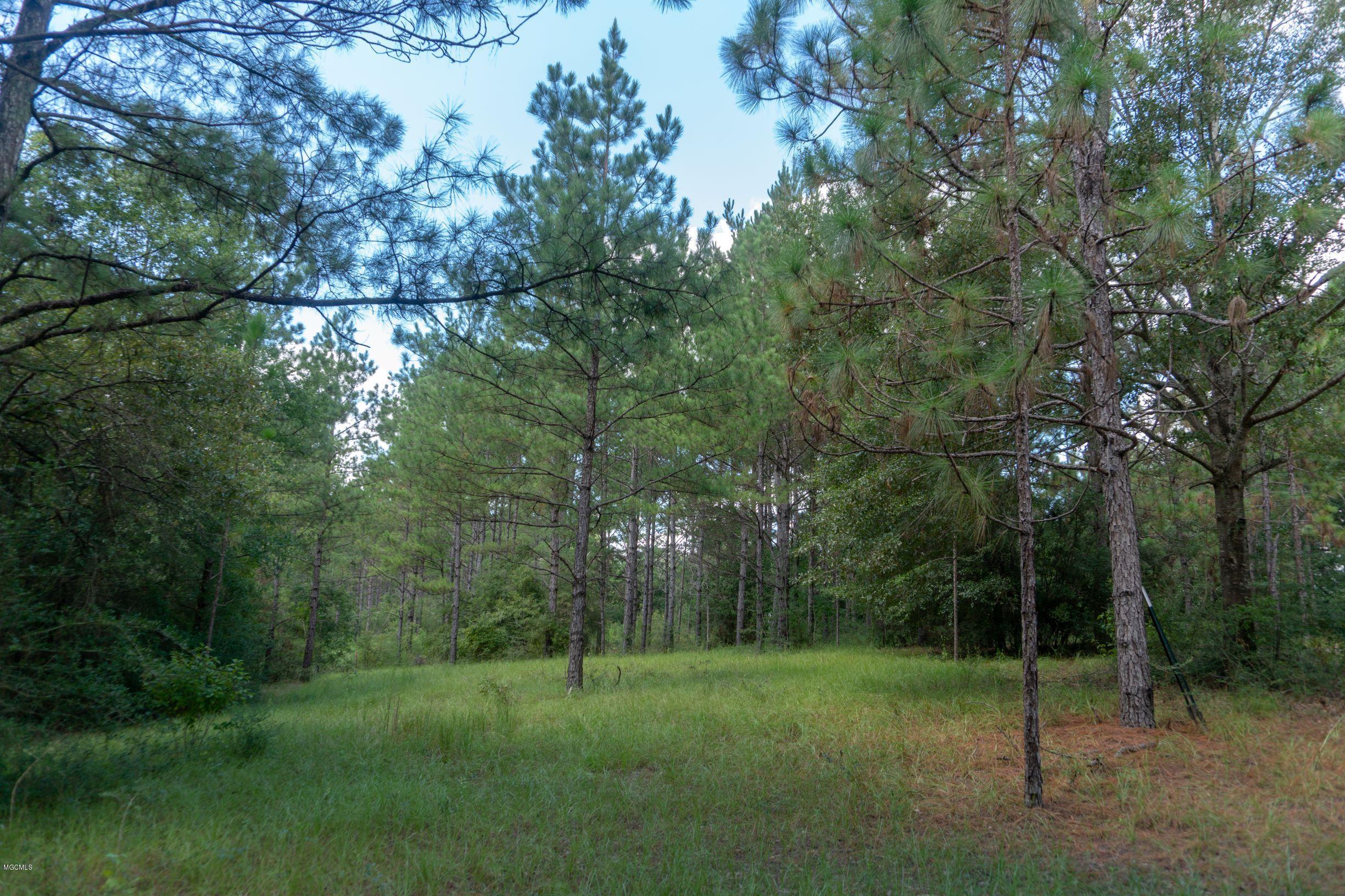 47 Punk Lott Road Wiggins, MS 39577 - Photo 14 of 27 resized 20
