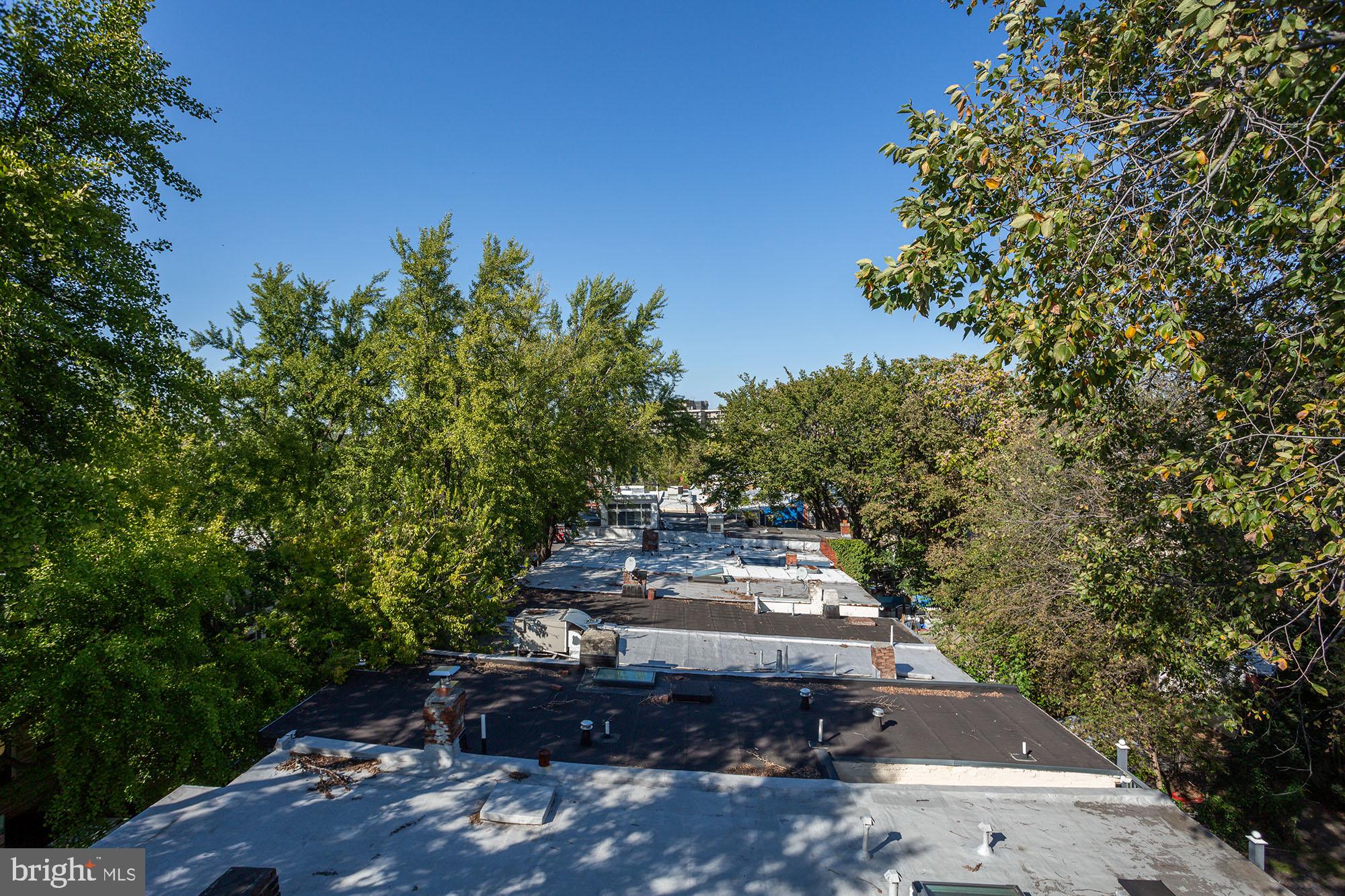 623 14th Place Northeast, Unit C Washington, DC 20002 - Photo 14 of 21 Tree-top views from the roof access