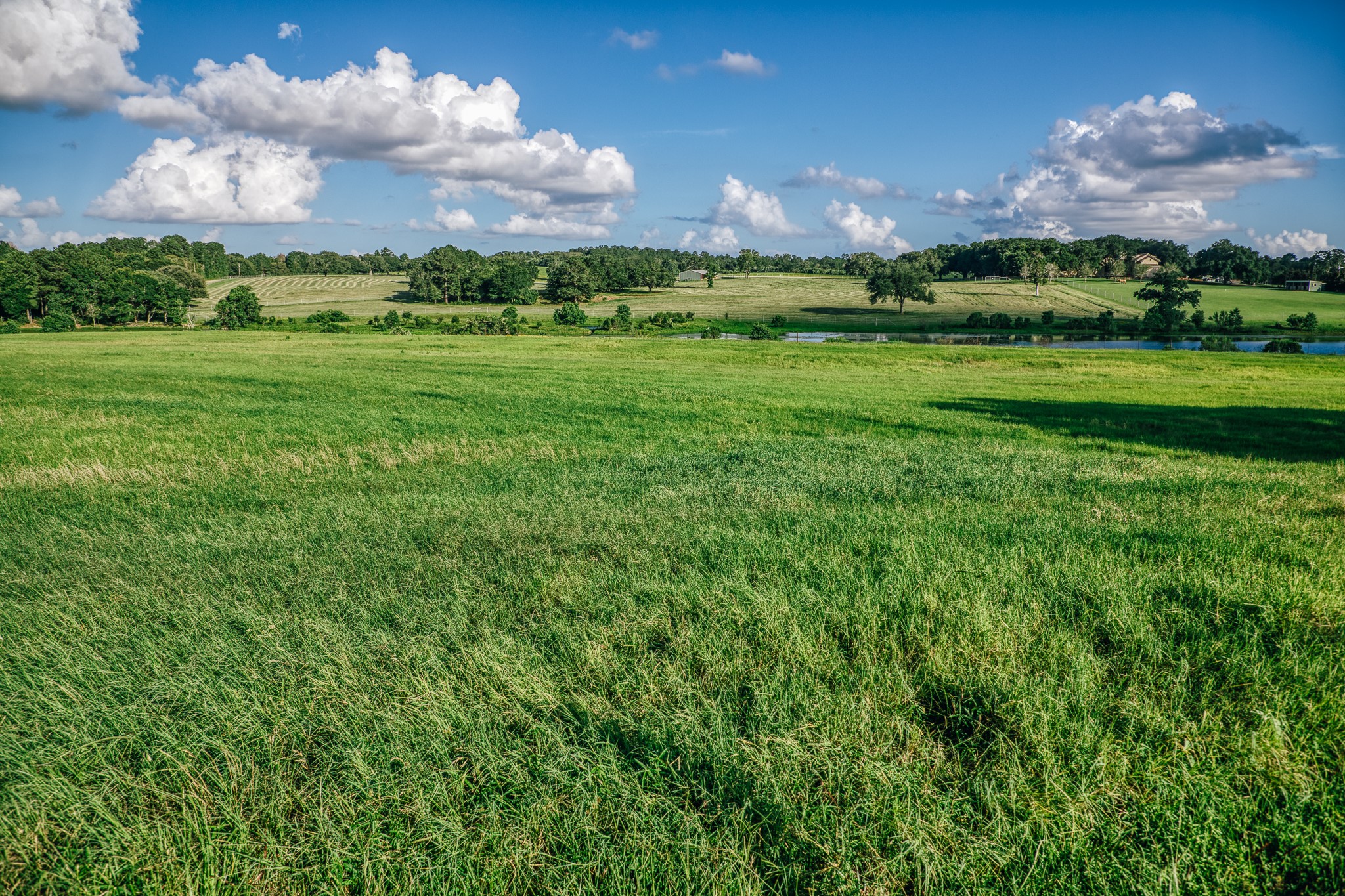 1034 Hilbun Road New Ulm, TX 78950 - Photo 9 of 49