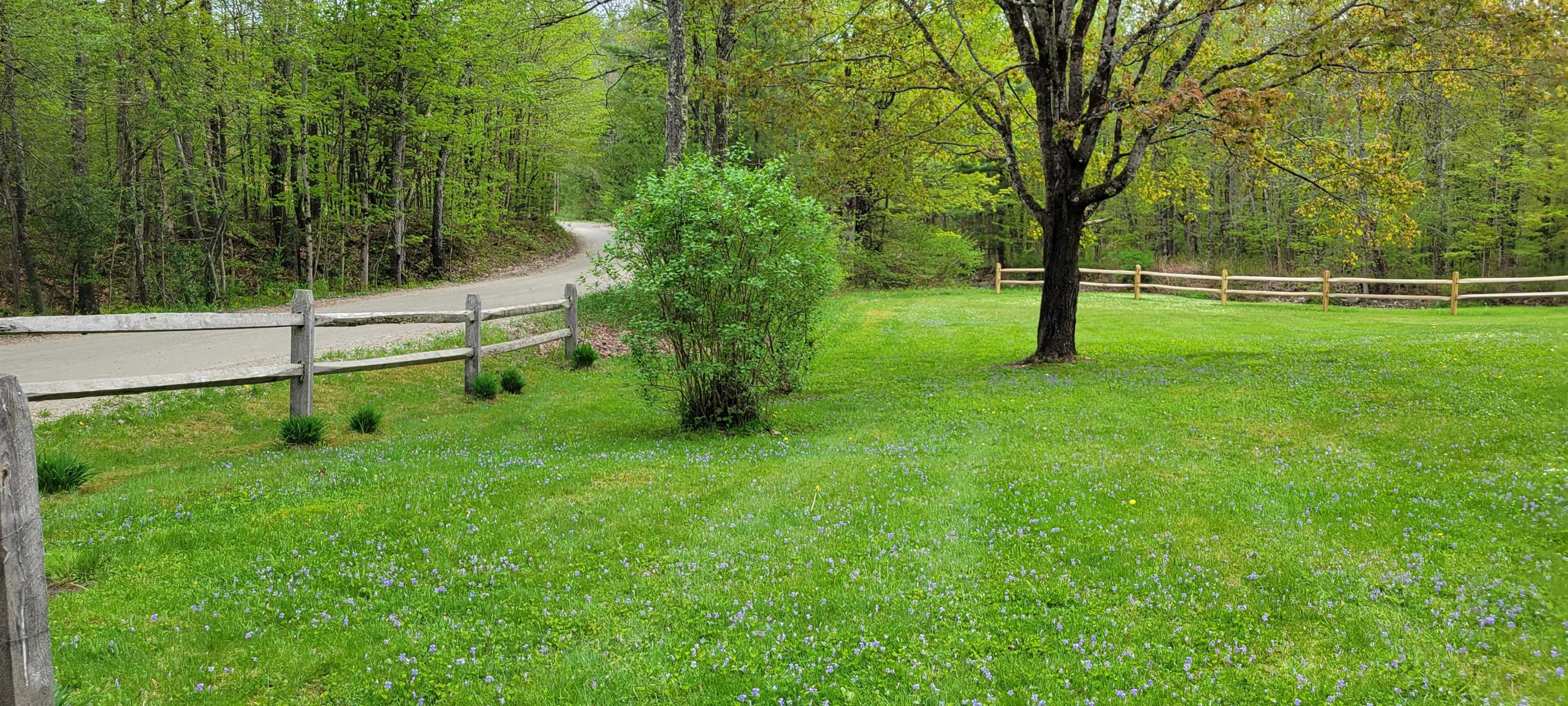 867 Goodaleville Road Jamaica, VT 05155 - Photo 8 of 30 Gallery Image 8
