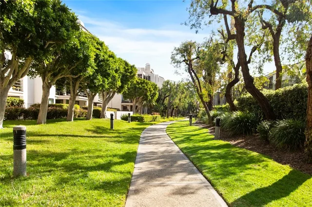a park with large trees