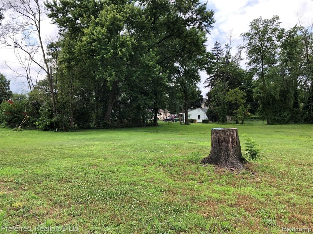 0 Henry Ruff Road Garden City, MI 48135 - Photo 3 of 6