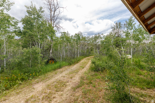 23 Scare Canyon, Unit 23 Logan, UT 84321 - Photo 26 of 33 Gravel path winding through an abundance of mature trees and natural landscaping