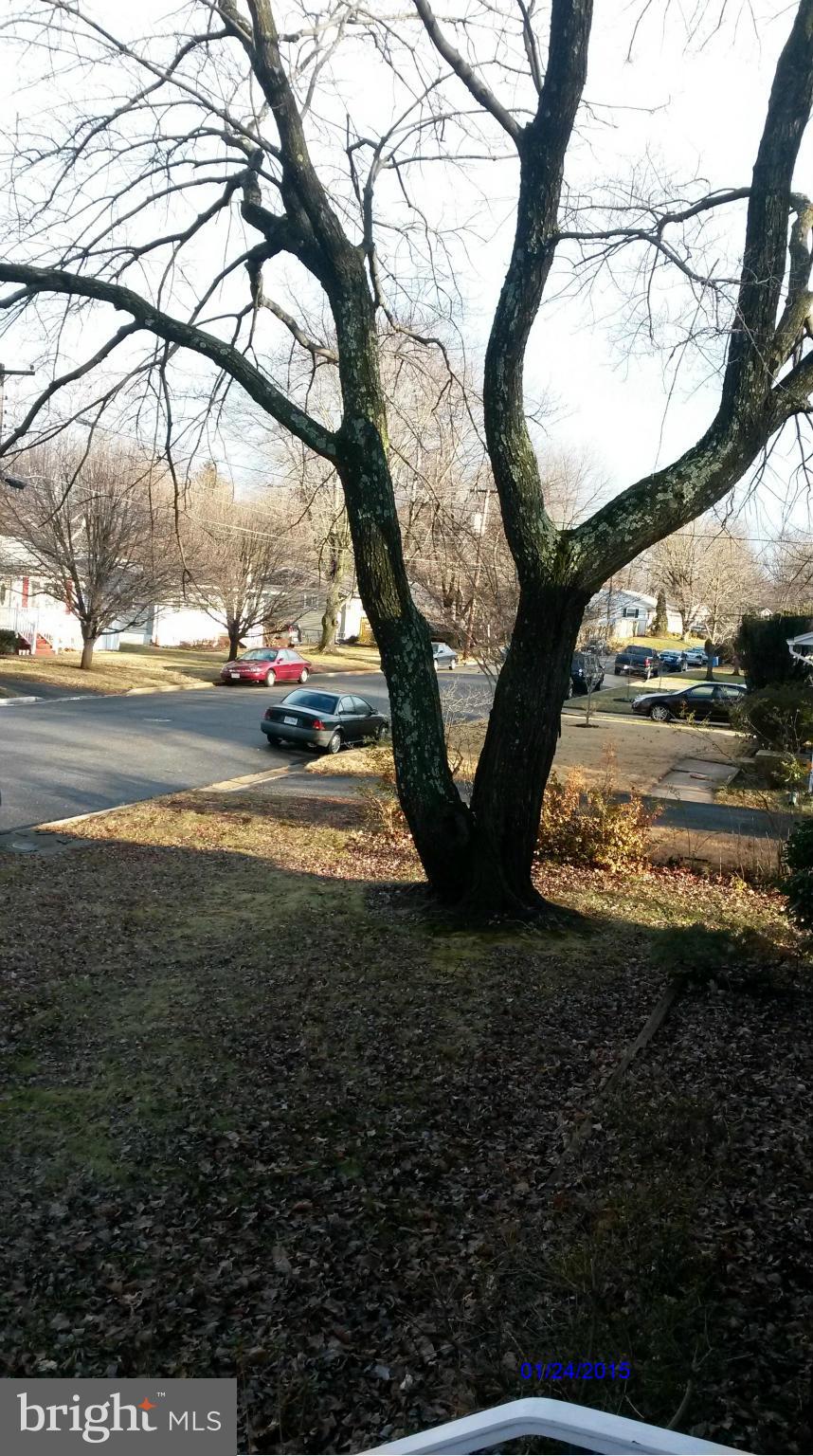 10213 Rodgers Road Fairfax, VA 22030 - Photo 26 of 26 a view of yard with tree