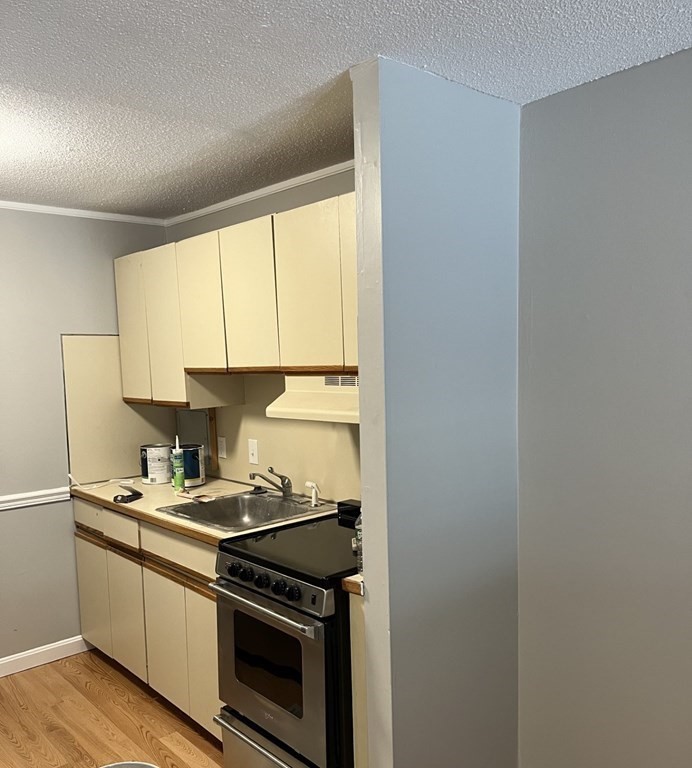 36 Bellvista Road, Unit 22 Boston, MA 02135 - Photo 4 of 11 Gallery Image 4