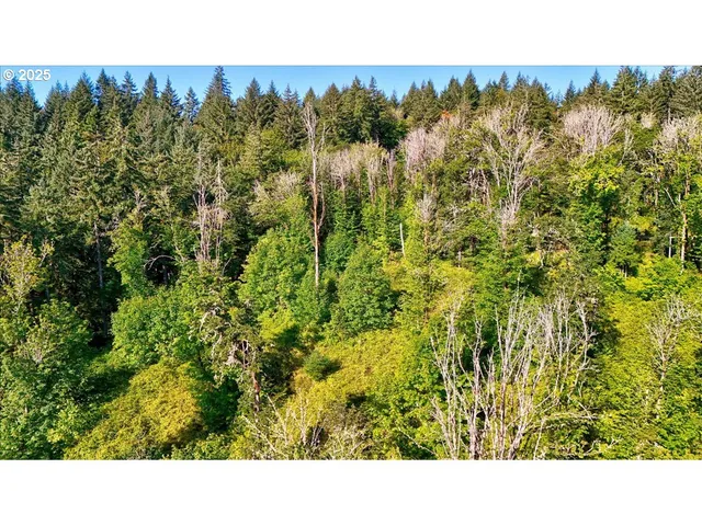$596,000 | 23998 Highway 20, Philomath, OR 97370