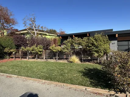 a view of a backyard