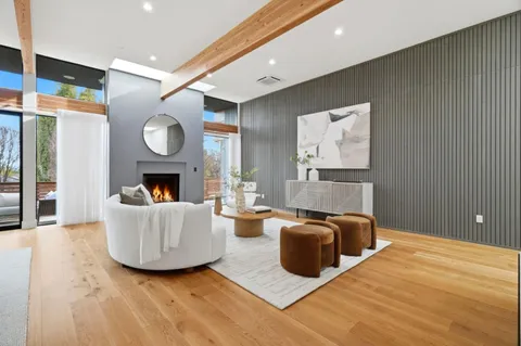 a living room with furniture a fireplace and a potted plant