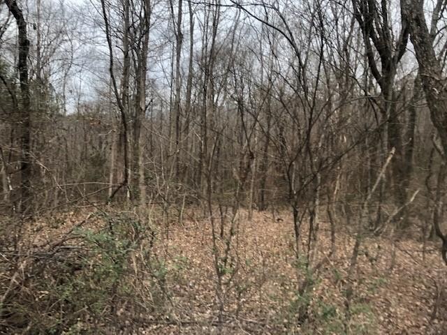 73 King Road Dunlap, TN 37327 - Photo 1 of 6 Gallery Image 1