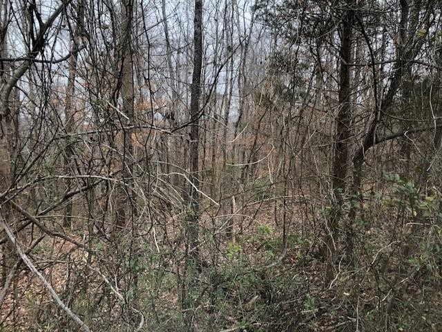 73 King Road Dunlap, TN 37327 - Photo 2 of 6 Gallery Image 2