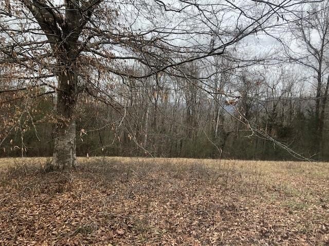 73 King Road Dunlap, TN 37327 - Photo 3 of 6 Gallery Image 3