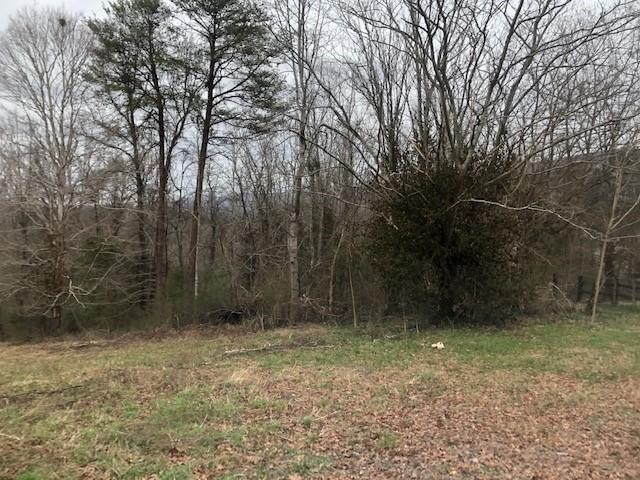73 King Road Dunlap, TN 37327 - Photo 4 of 6 Gallery Image 4