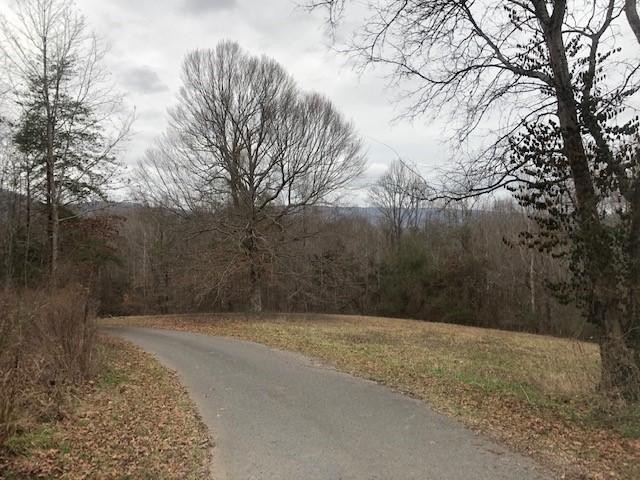 73 King Road Dunlap, TN 37327 - Photo 5 of 6 Gallery Image 5