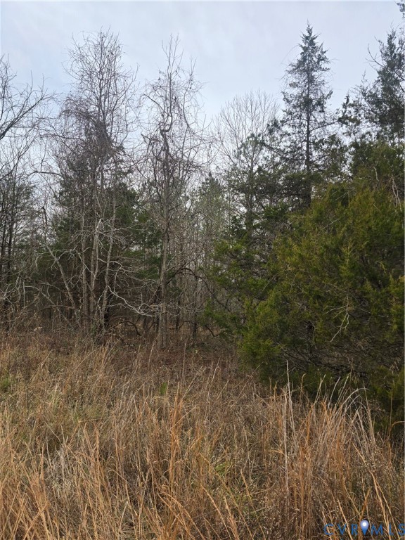 1402 Lewis Level Road Tappahannock, VA 22560 - Photo 14 of 14 a view of a forest with trees in the background