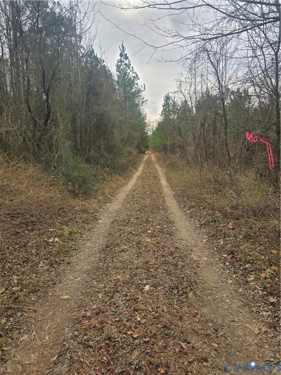 1402 Lewis Level Road Tappahannock, VA 22560 - Photo 4 of 14 a view of a dry yard with trees