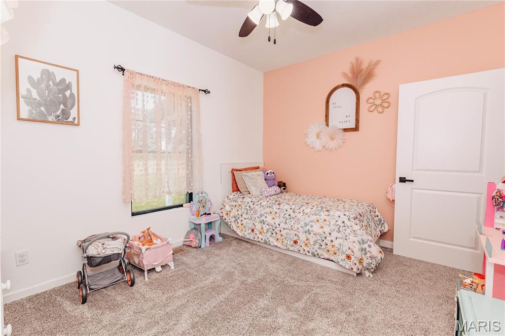 14946 Colorado Road Dixon, MO 65459 - Photo 40 of 95