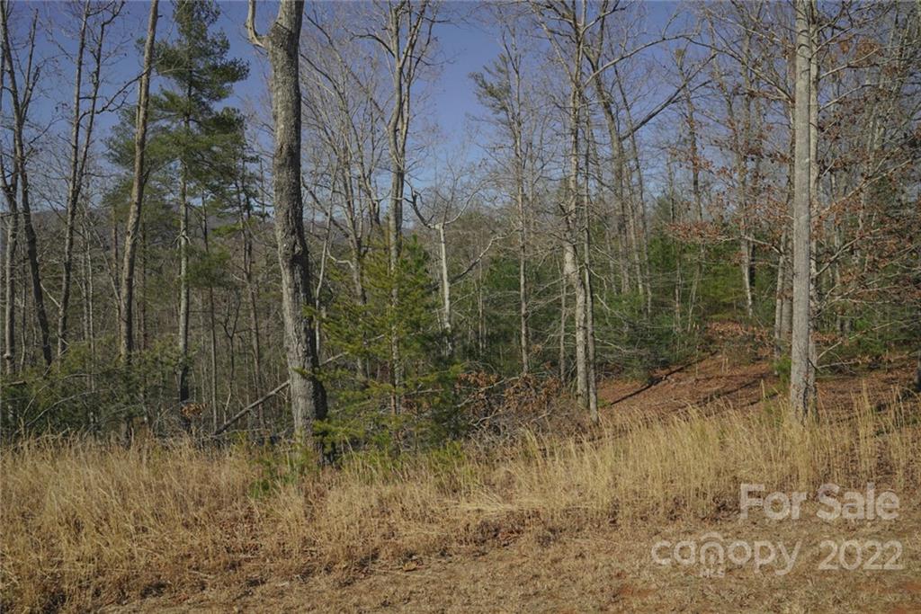 5 Huskey Pointe Mill Spring, NC 28756 - Photo 13 of 13 Gallery Image 13