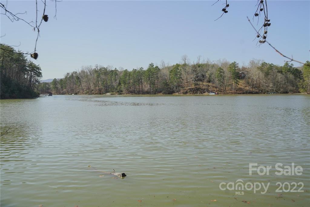 5 Huskey Pointe Mill Spring, NC 28756 - Photo 5 of 13 Gallery Image 5
