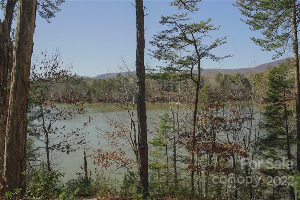 5 Huskey Pointe Mill Spring, NC 28756 - Photo 6 of 13 Gallery Image 6