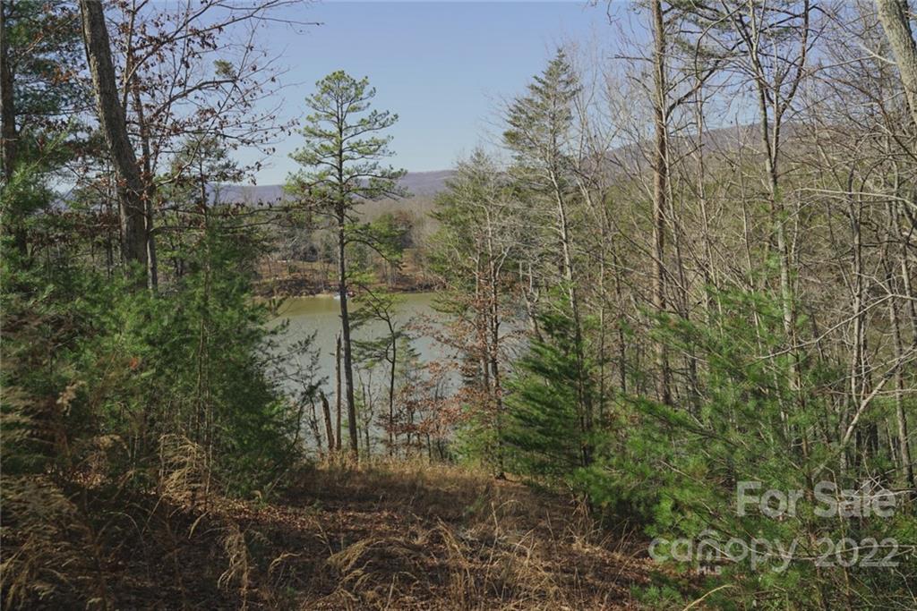 5 Huskey Pointe Mill Spring, NC 28756 - Photo 8 of 13 Gallery Image 8