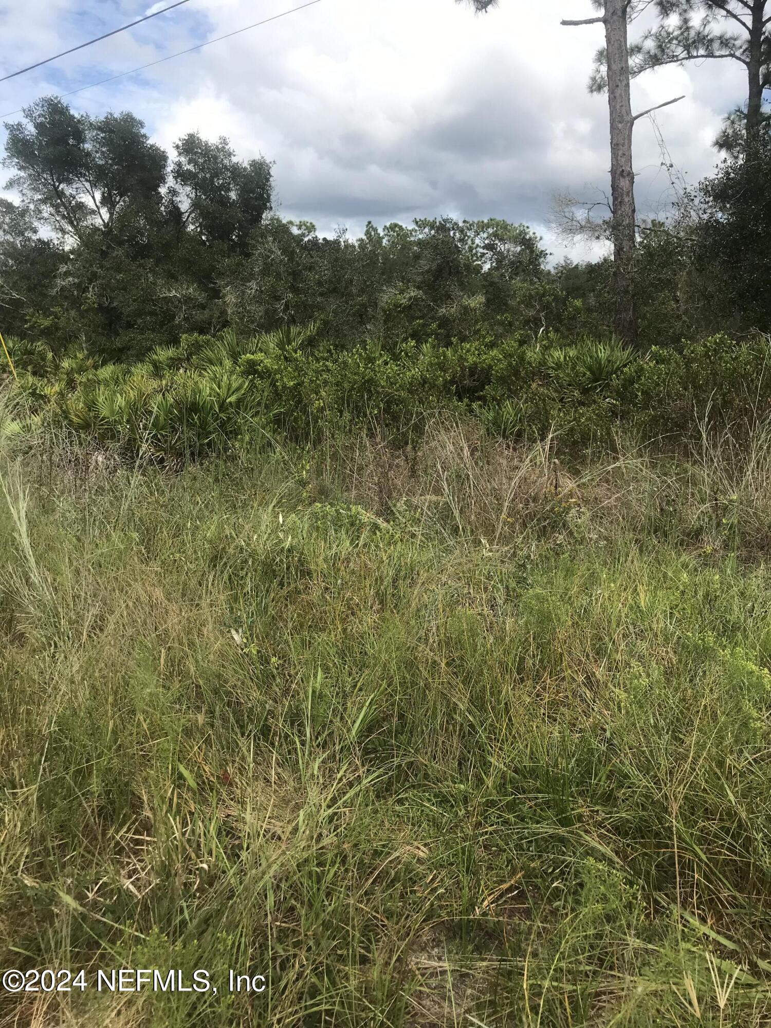 0 Summit Road Satsuma, FL 32189 - Photo 3 of 5
