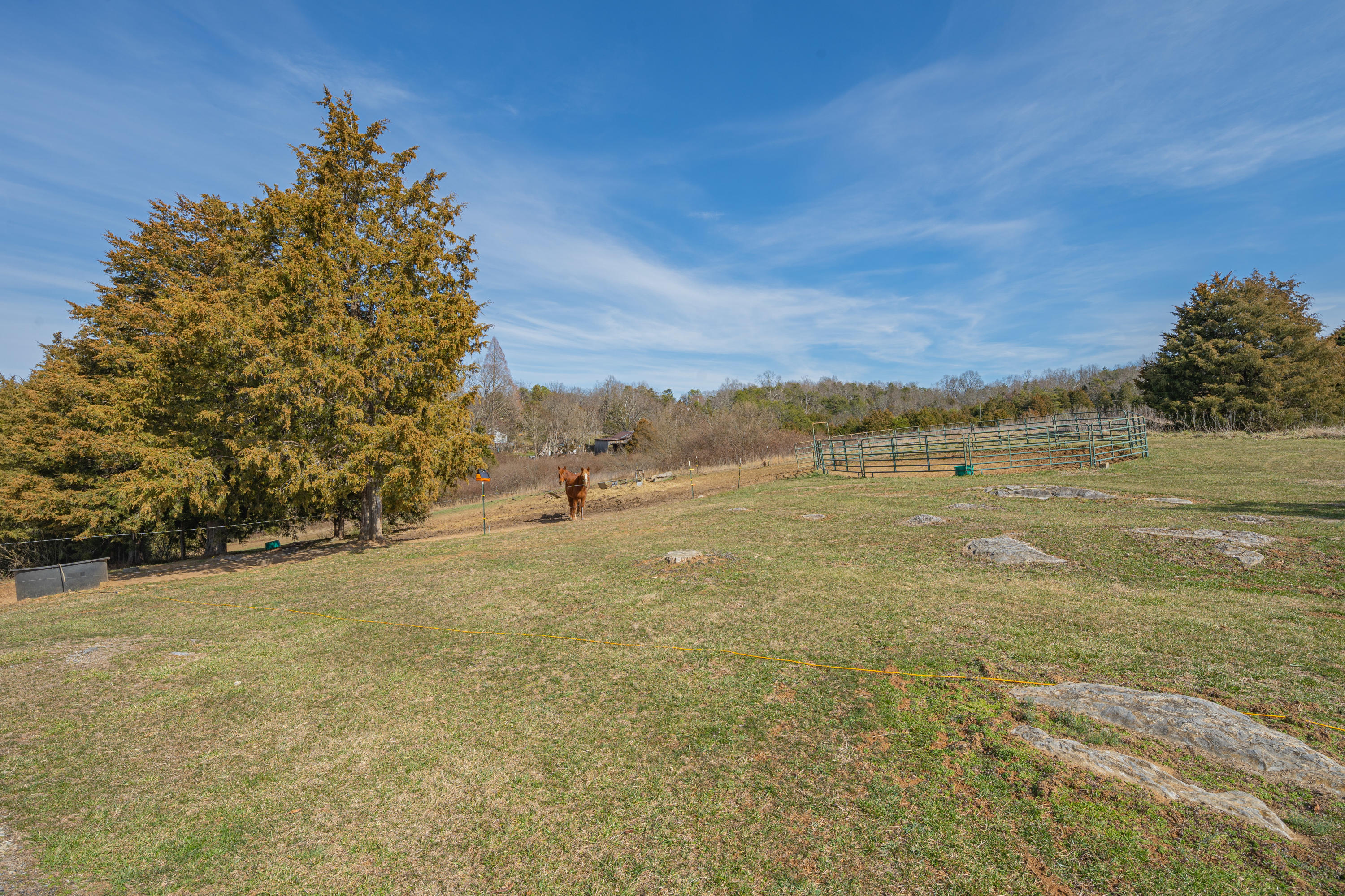 2628 Timber Ridge Buchanan, VA 24066 - Photo 23 of 27 Yard