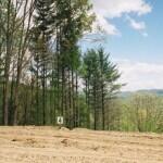 804 Vista Road, Unit 4 Butler, TN 37640 - Photo 7 of 24 Lot-4-E-View-Mtn-Range-150x150