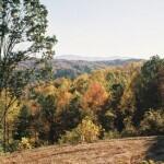 804 Vista Road, Unit 4 Butler, TN 37640 - Photo 8 of 24 Lot-4-Main-Pic-SW-View-150x150