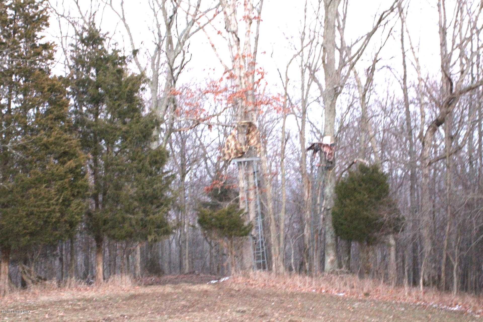 0 Penny Winkle Road Lockport, KY 40036 - Photo 19 of 21 Pennywinkle_20