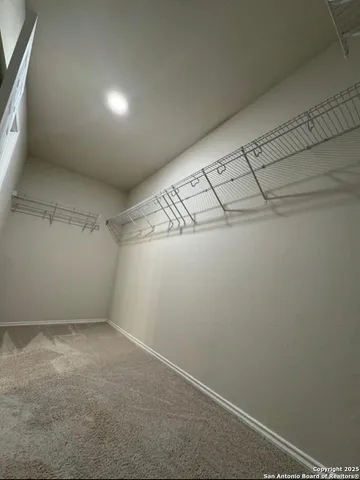 a bathroom with a shower and a toilet